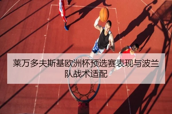 莱万多夫斯基欧洲杯预选赛表现与波兰队战术适配